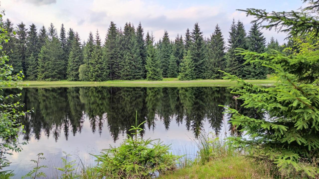 Holiday Home Moldava Zewnętrze zdjęcie